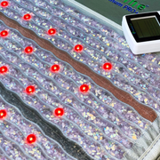 Platinum Series PEMF Mat | Far Infrared Heat Therapy Mat for Home Wellness
