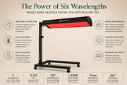 P1 Six-Wavelength Full-Body Light Therapy Panel