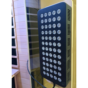 Blisspod Malmo 2-Person Infrared Sauna | Red Light Therapy & Chromotherapy