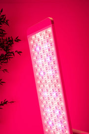 Renew Red Light Panorama Panel | 7-Wavelength Full-Body Light Therapy