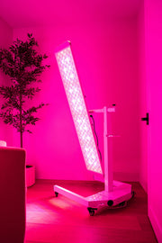 Renew Red Light Panorama Panel | 7-Wavelength Full-Body Light Therapy